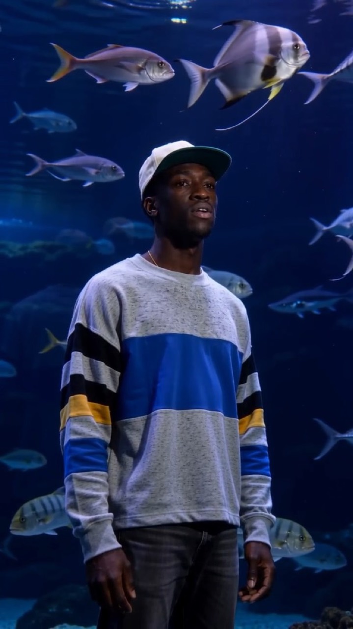 Un jeune homme en casquette et pull à bandes de couleur, debout devant un grand aquarium bleu.